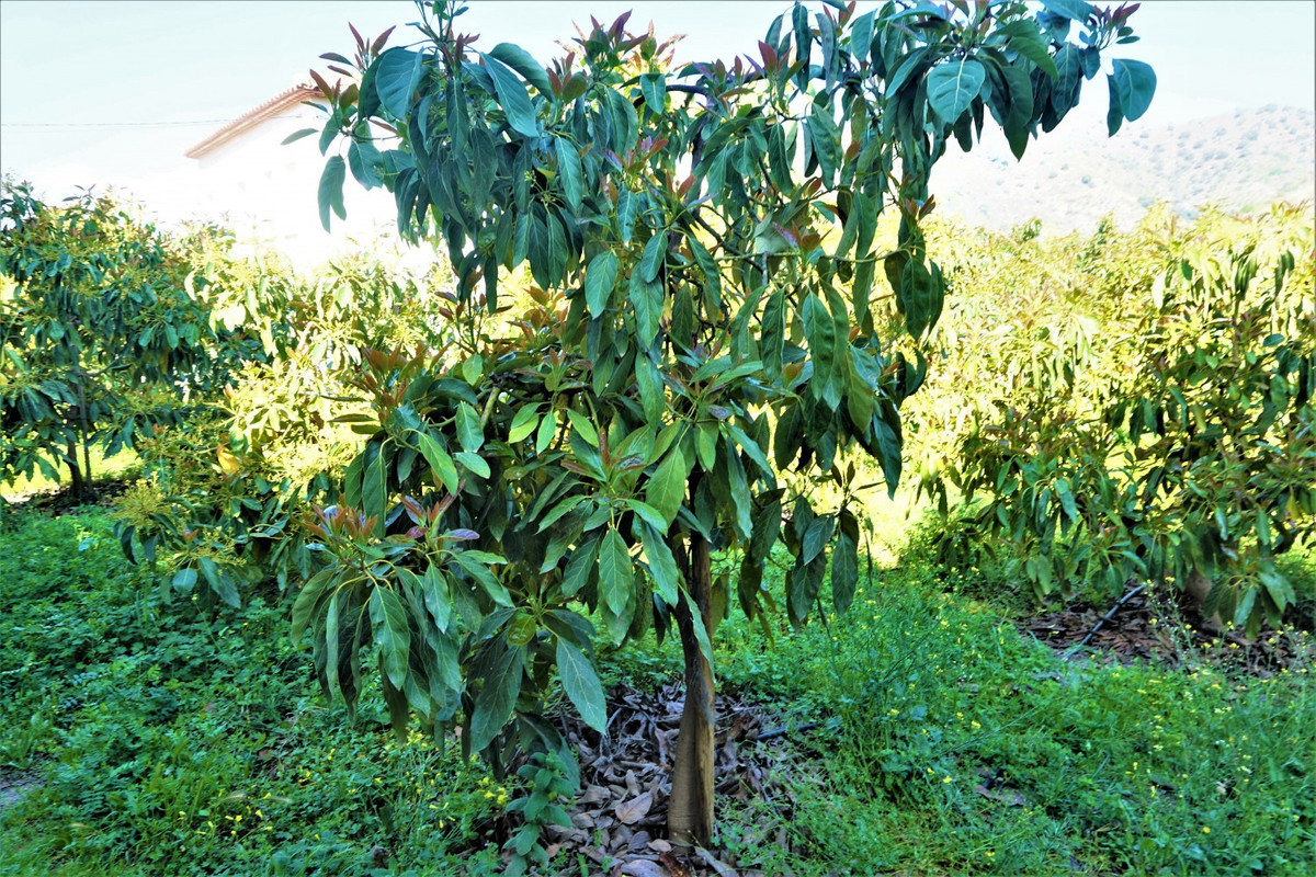 Property main view 25