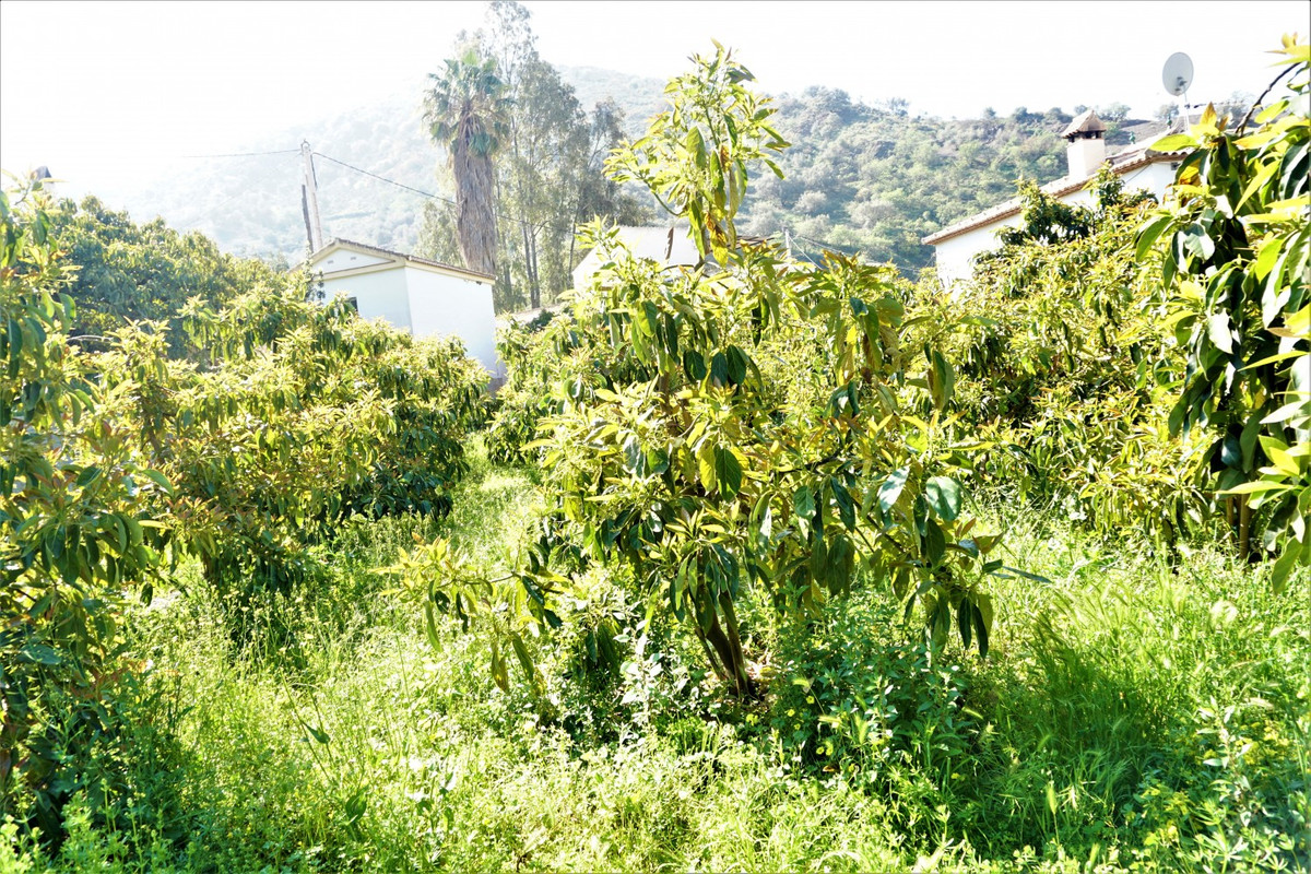 Property main view 9