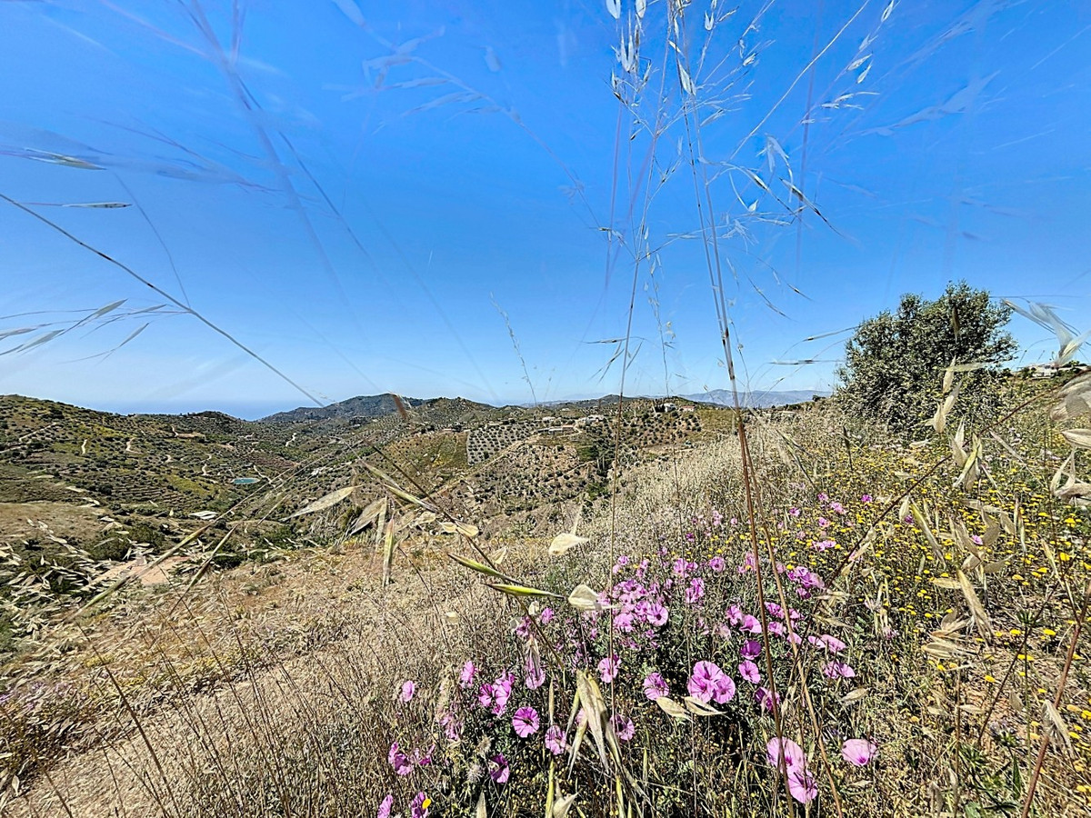 Percelen te koop in Canillas de Albaida | 1 slaapkamers H5049925