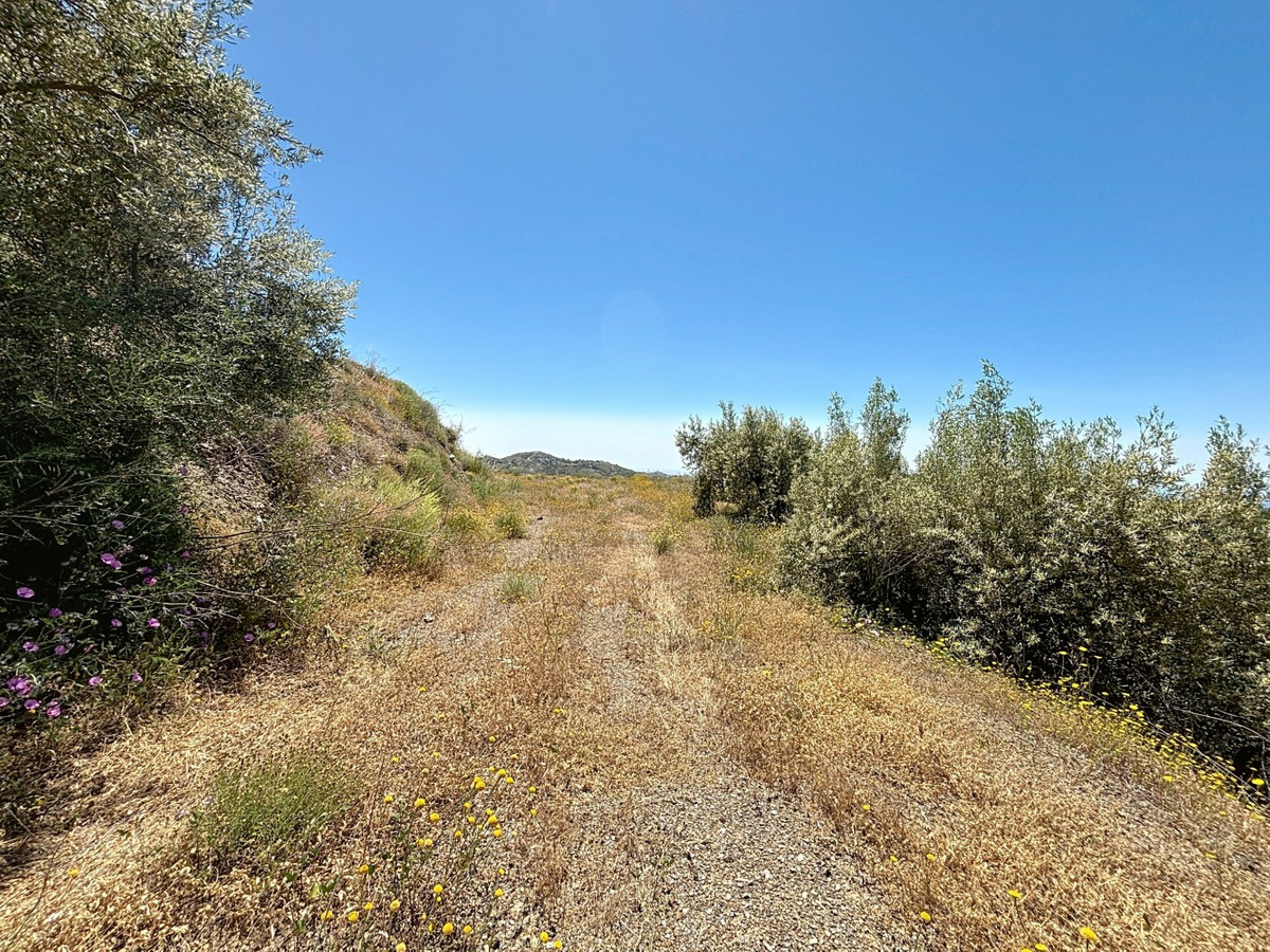 Percelen te koop in Canillas de Albaida | 1 slaapkamers H5049925
