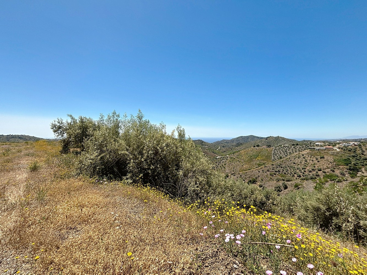 Percelen te koop in Canillas de Albaida | 1 slaapkamers H5049925