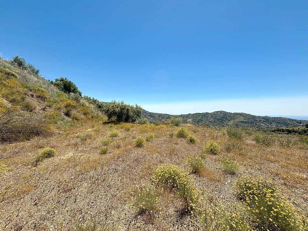 Percelen te koop in Canillas de Albaida | 1 slaapkamers H5049925