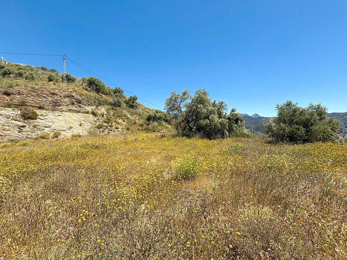 Percelen te koop in Canillas de Albaida | 1 slaapkamers H5049925