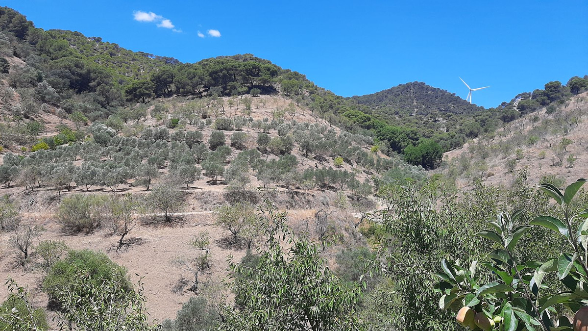 Grond in Carratraca-11