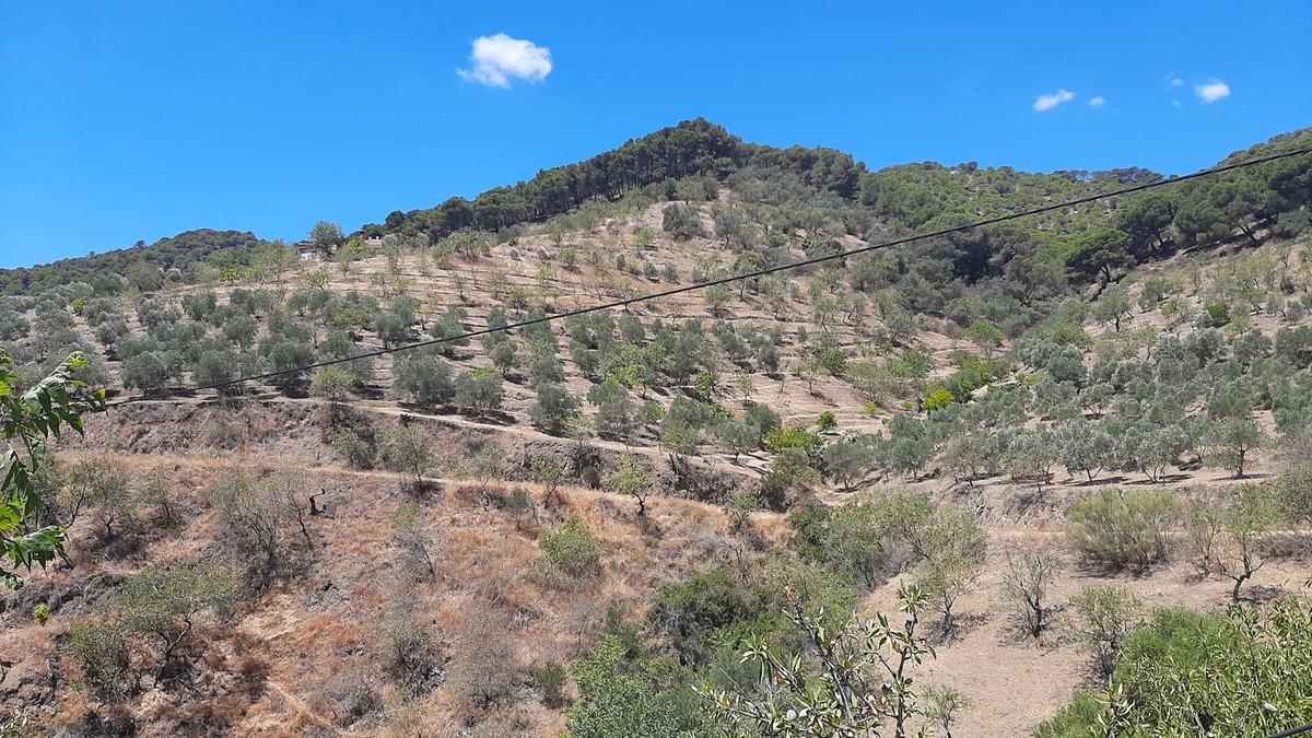 Grond in Carratraca-12