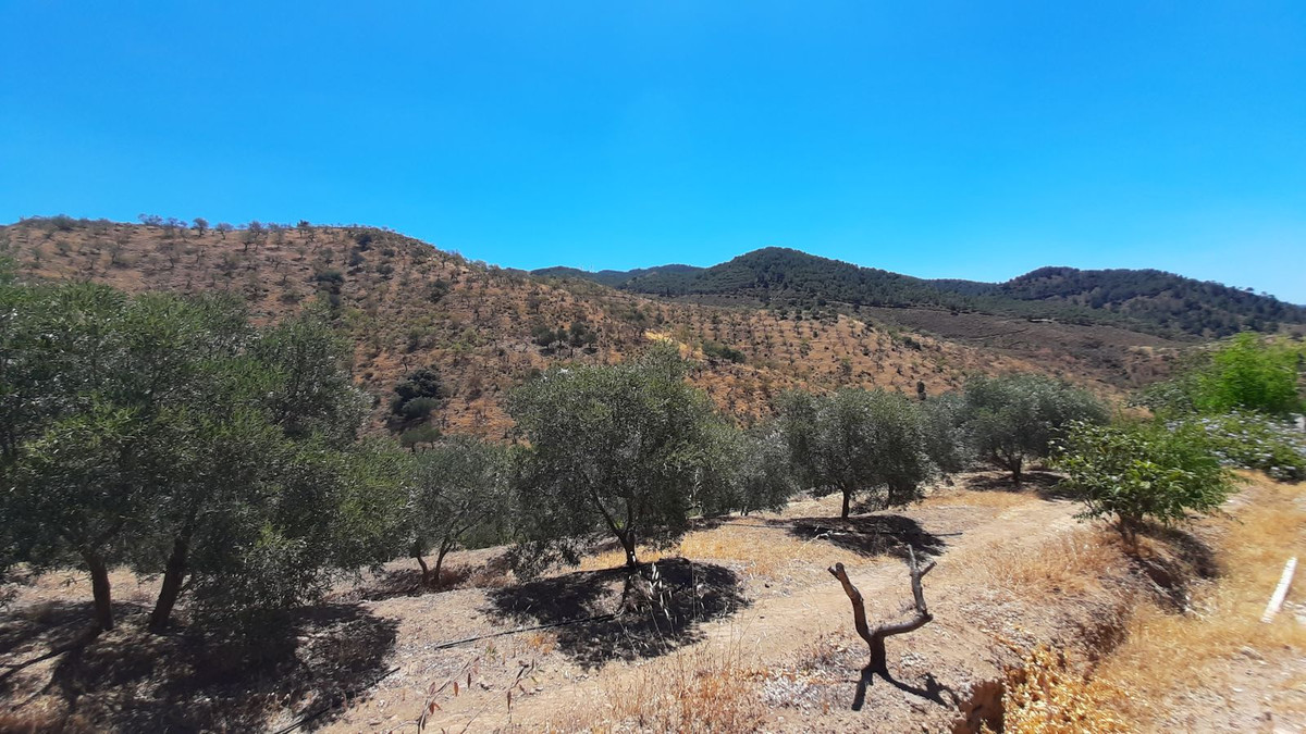Grond in Carratraca-16