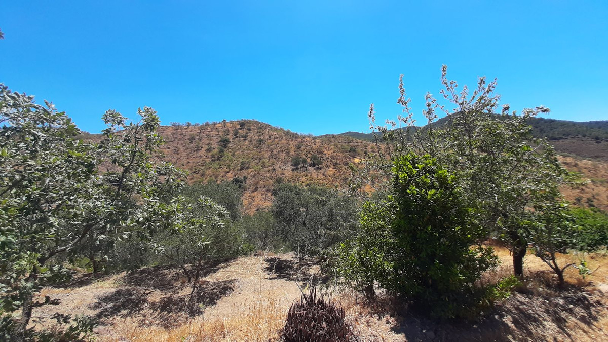 Grond in Carratraca-17
