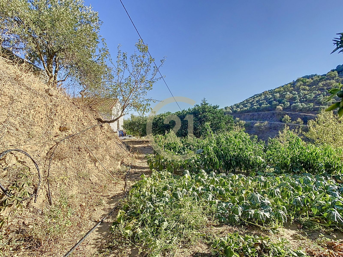 Grond in Carratraca-21