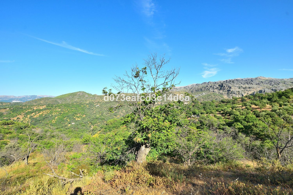 Property main view 10