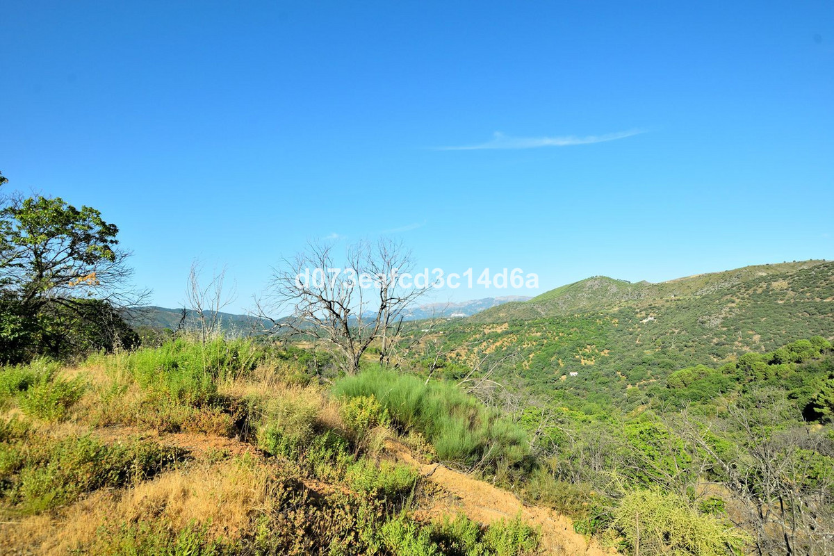 Property main view 11