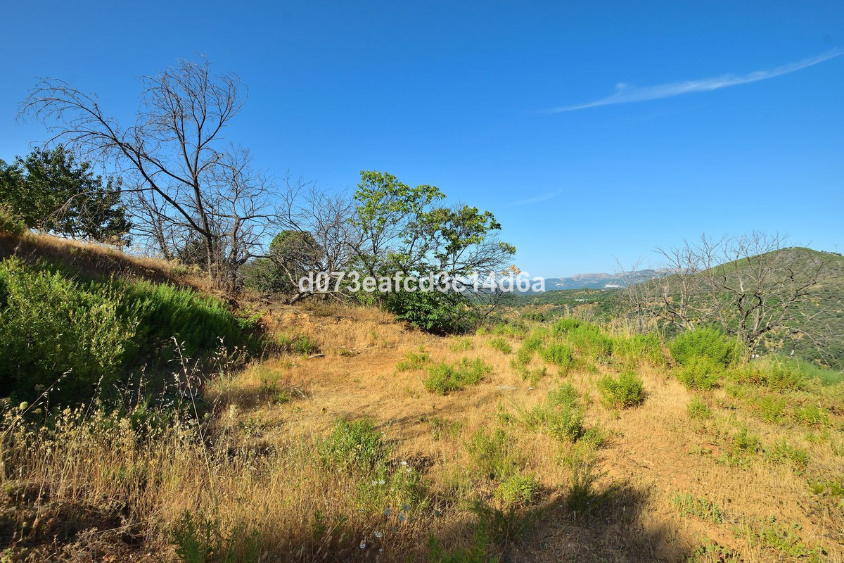 Property main view 13