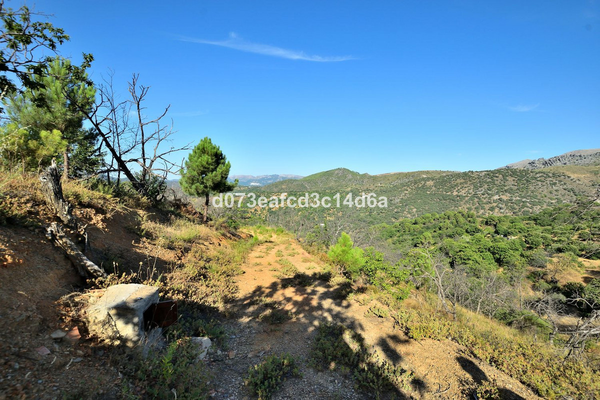 Property main view 14