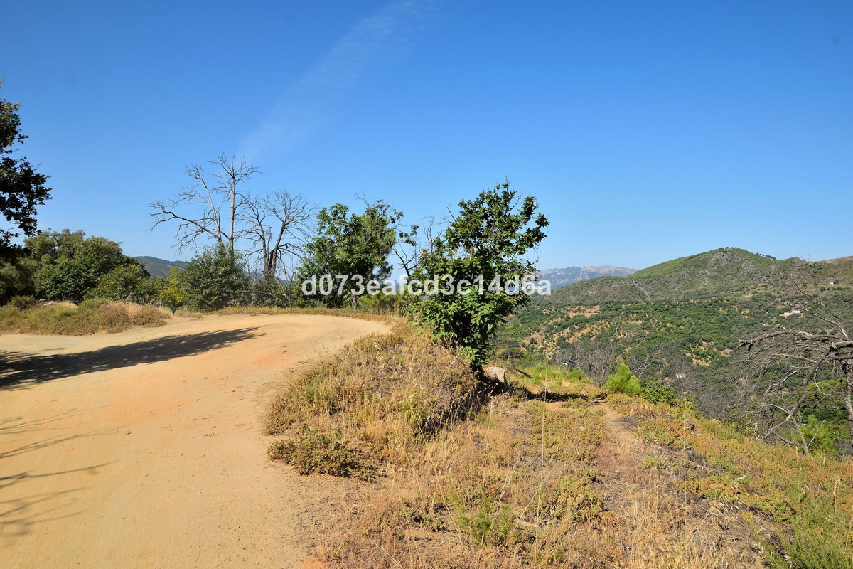Property main view 15
