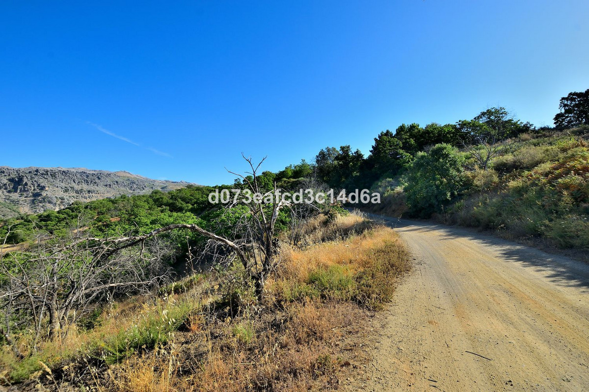 Property main view 2