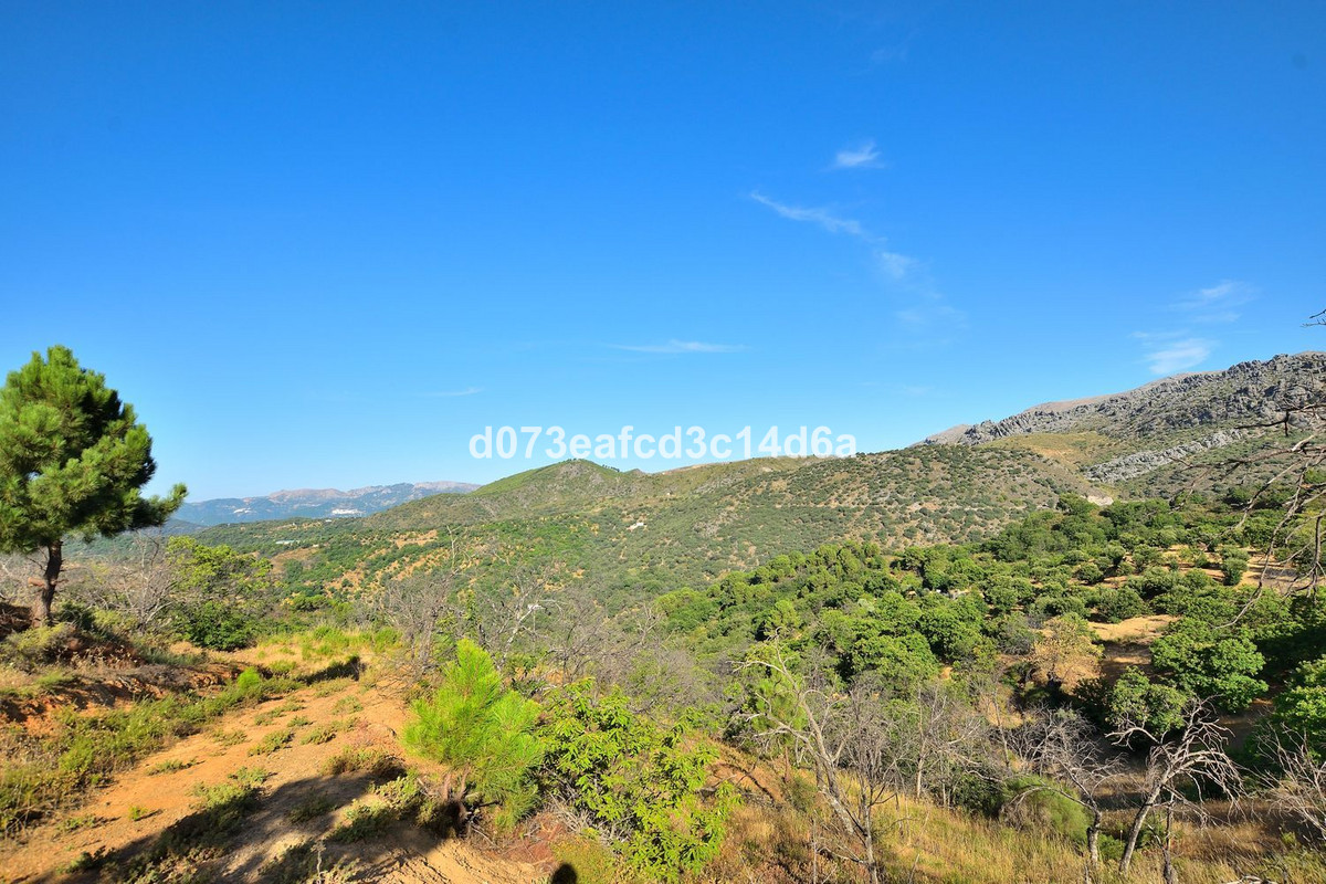 Property main view 5