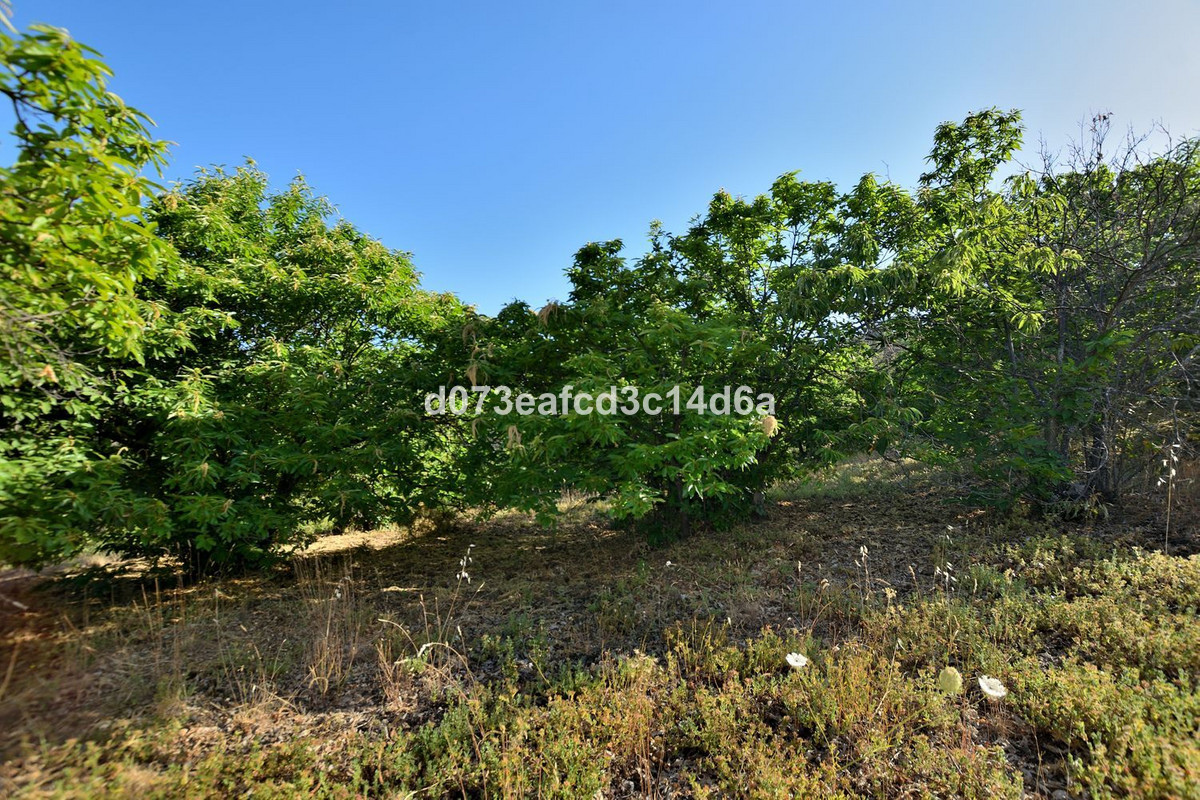 Property main view 6