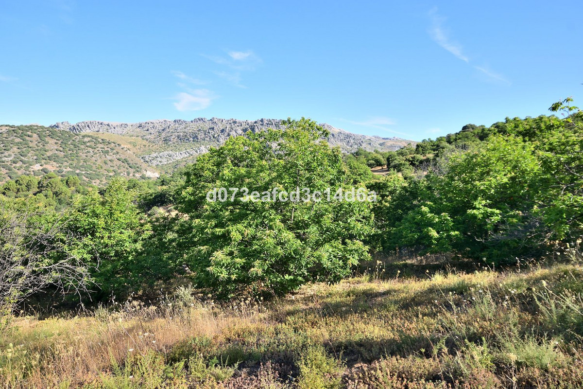 Property main view 7