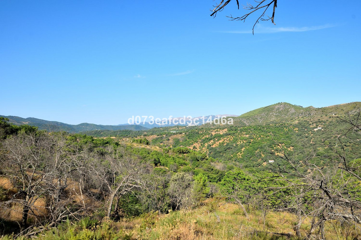 Property main view 8