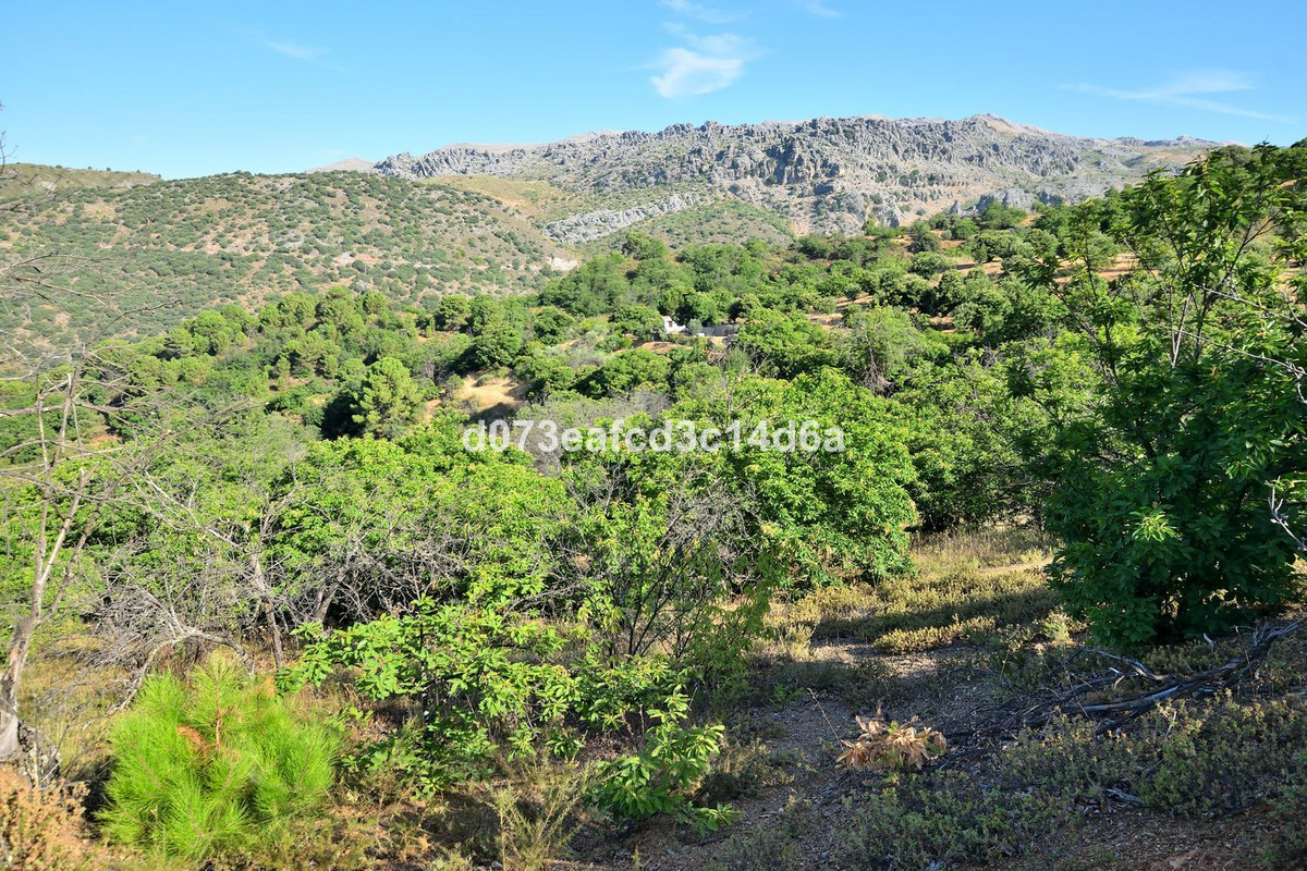 Property main view 9