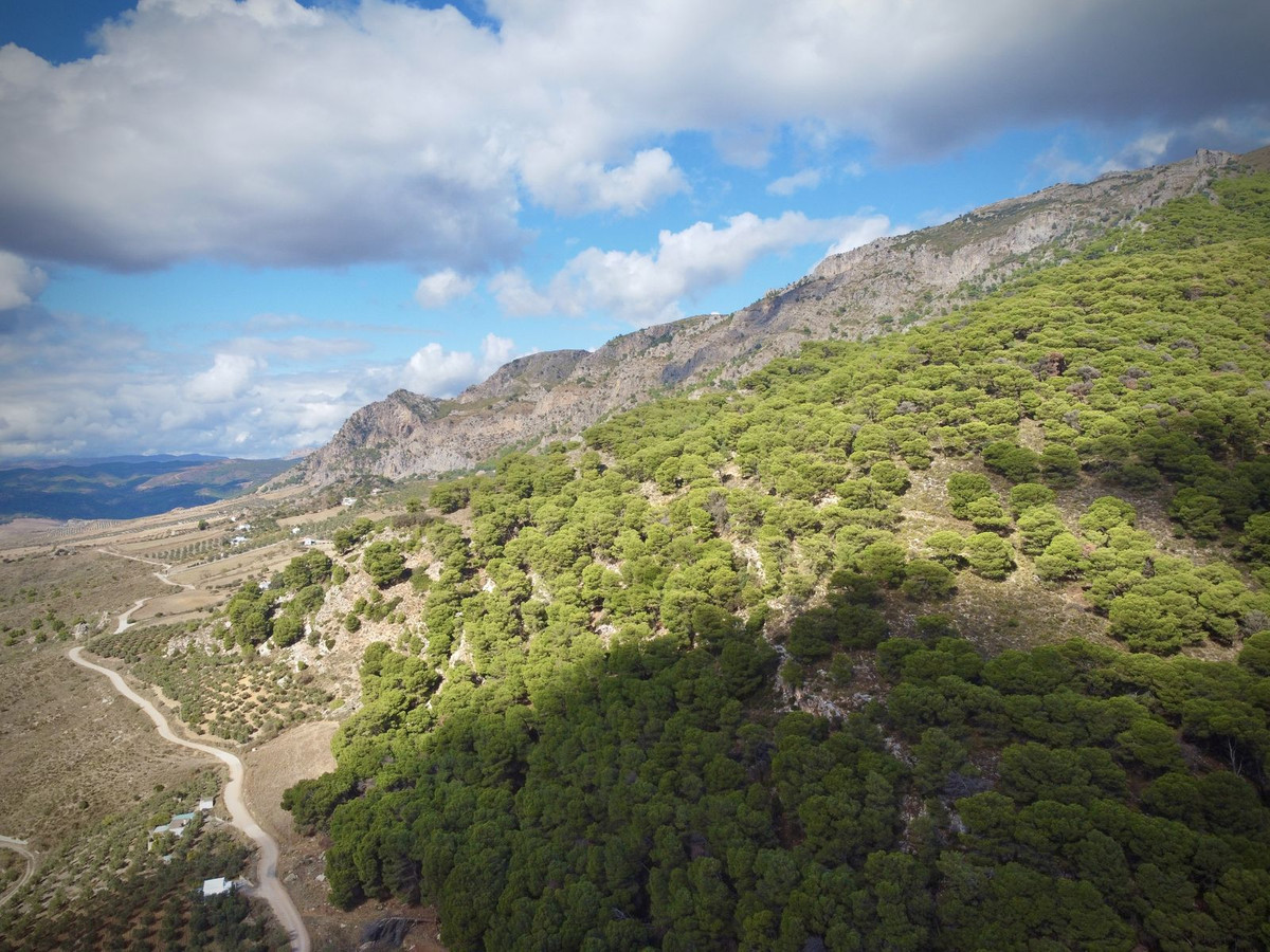 Grond te koop in Casarabonela | 0 slaapkamers H5219320