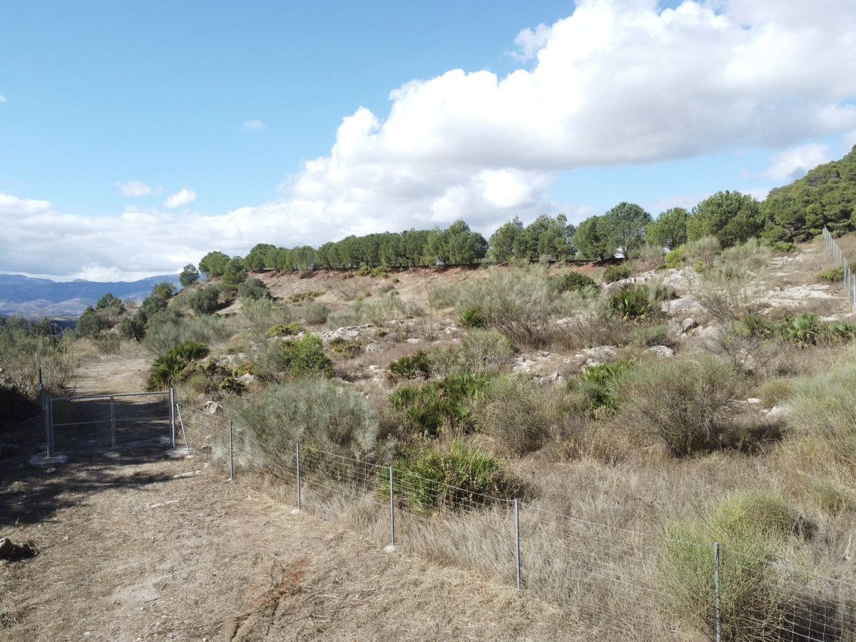 Grond te koop in Casarabonela | 0 slaapkamers H5219320