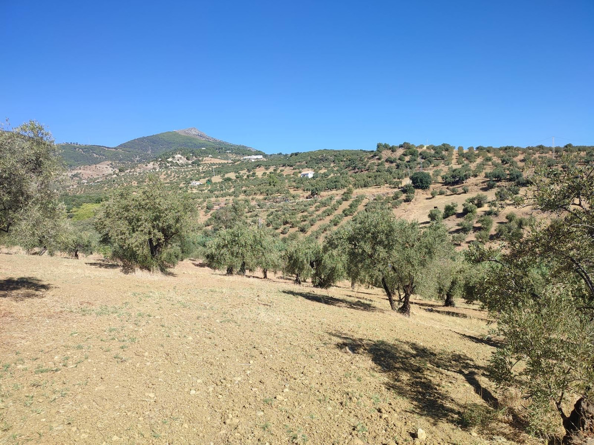 Grond te koop in Casarabonela | 0 slaapkamers H5302831