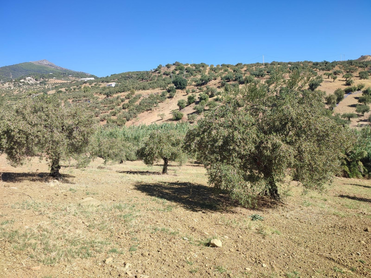 Grond te koop in Casarabonela | 0 slaapkamers H5302831