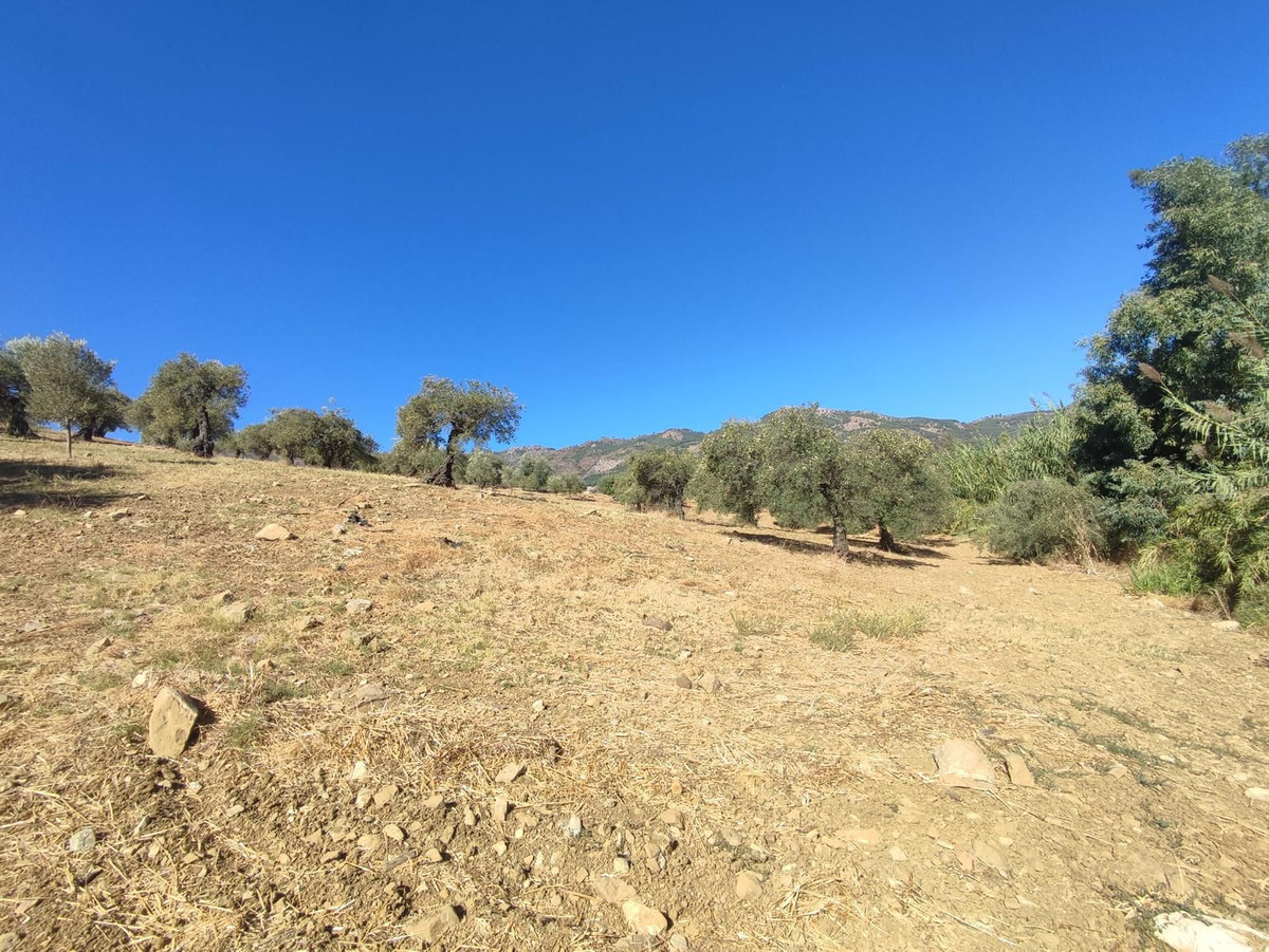 Grond te koop in Casarabonela | 0 slaapkamers H5302831