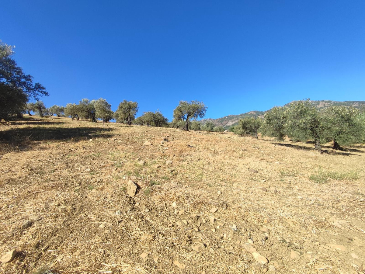 Grond te koop in Casarabonela | 0 slaapkamers H5302831