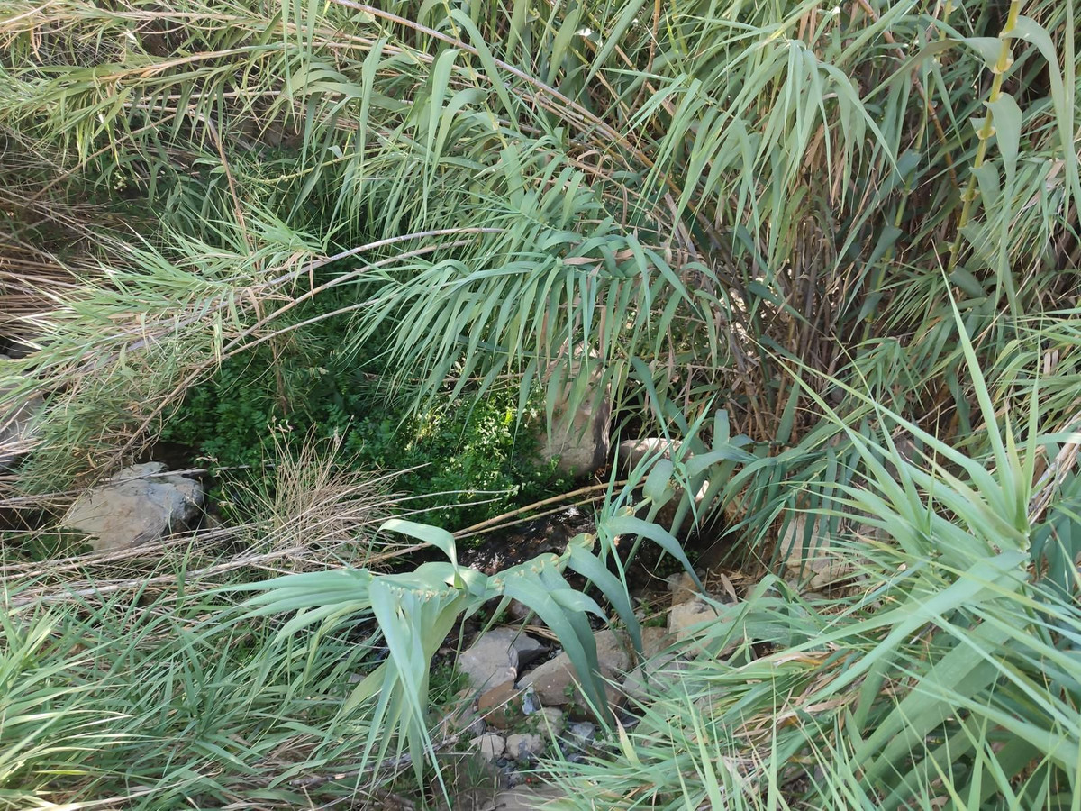 Grond te koop in Casarabonela | 0 slaapkamers H5302831