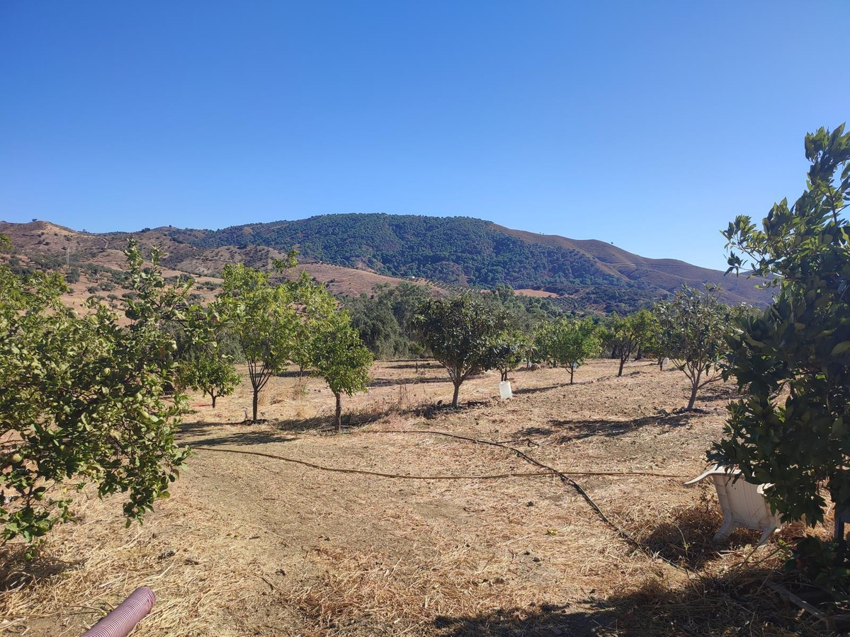 Grond te koop in Casarabonela | 0 slaapkamers H5302831