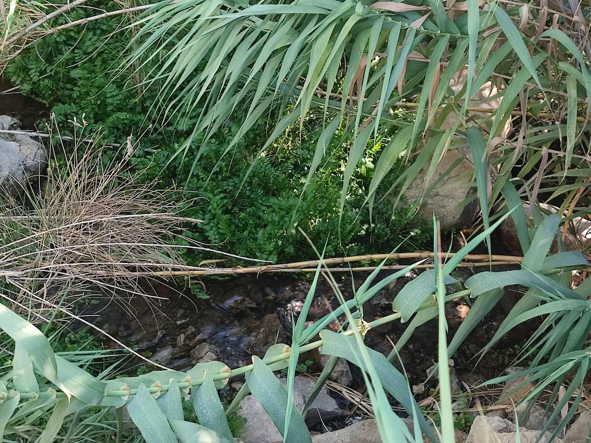 Grond te koop in Casarabonela | 0 slaapkamers H5302831