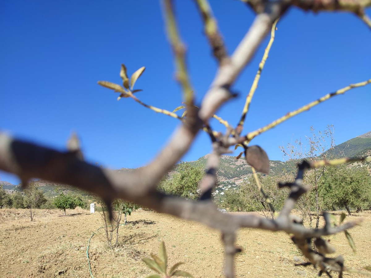 Grond te koop in Casarabonela | 0 slaapkamers H5302831