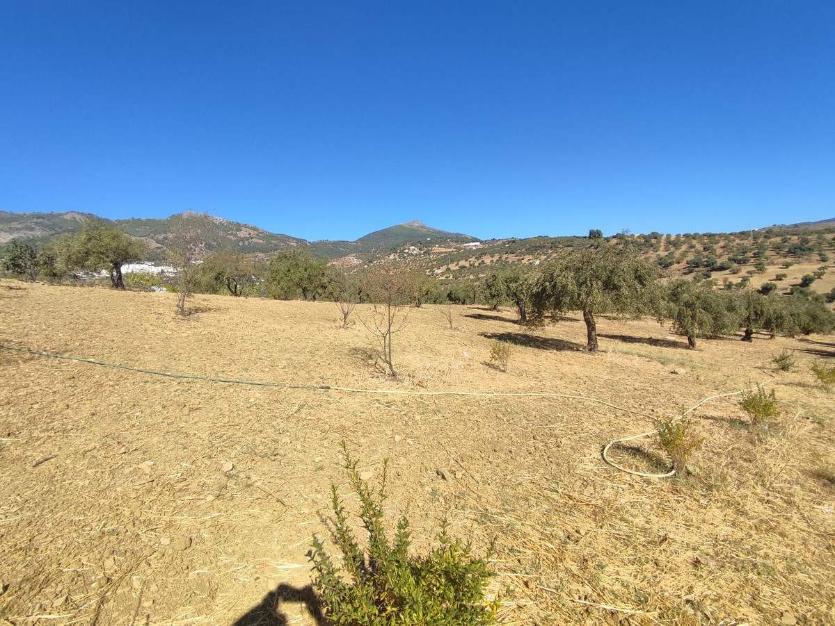 Grond te koop in Casarabonela | 0 slaapkamers H5302831