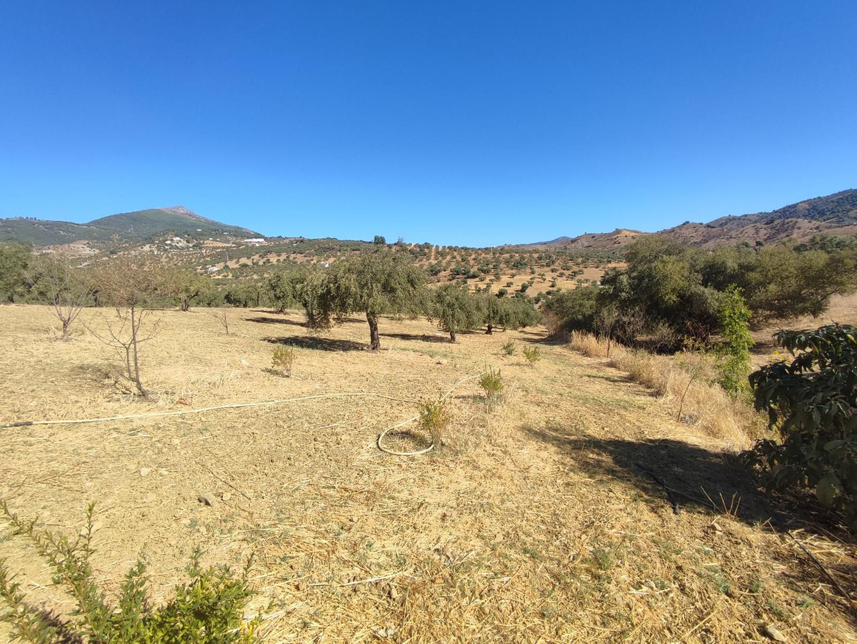 Grond te koop in Casarabonela | 0 slaapkamers H5302831