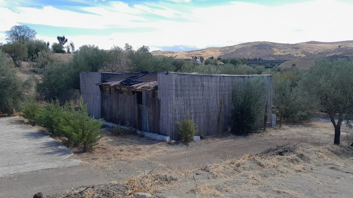 Property main view 2