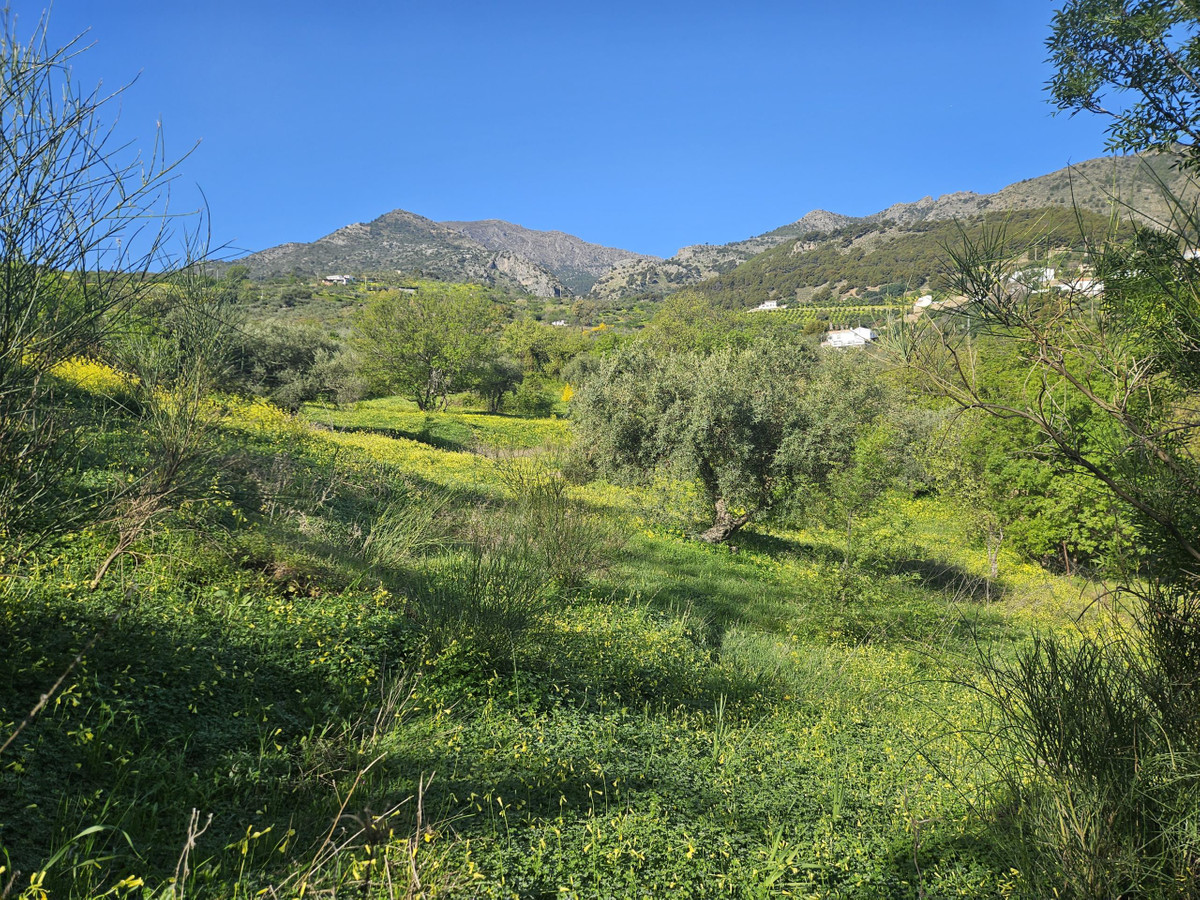 Property main view 10