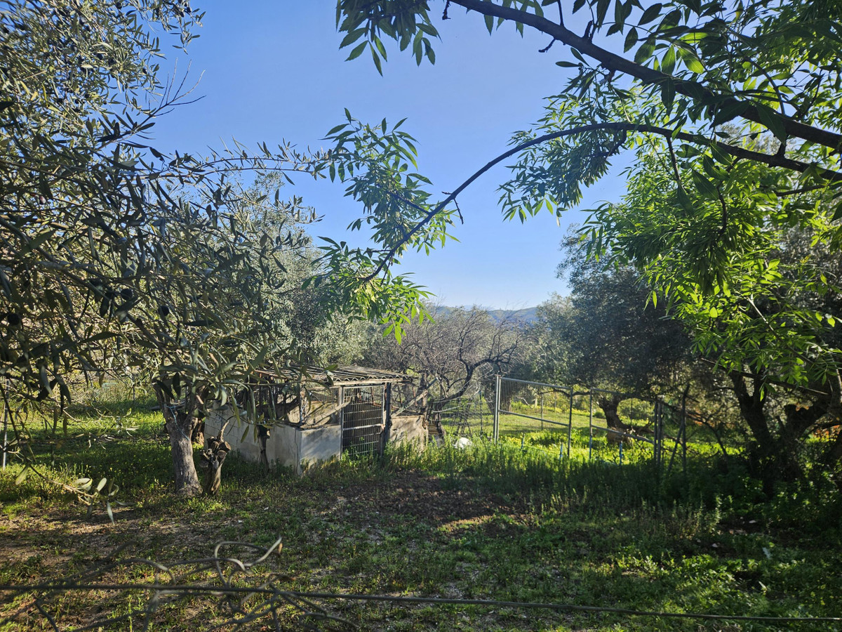 Property main view 11