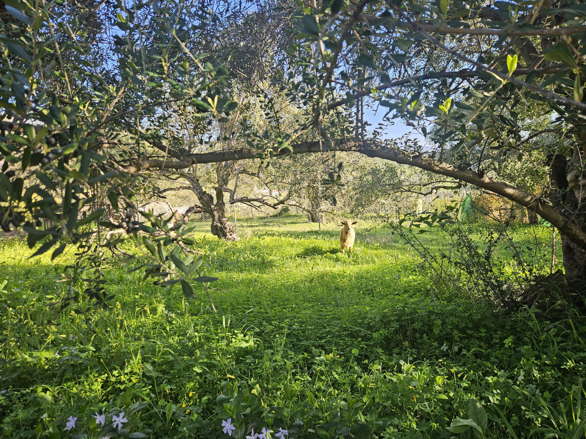 Property main view 2