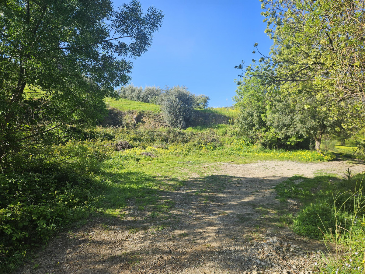 Property main view 3