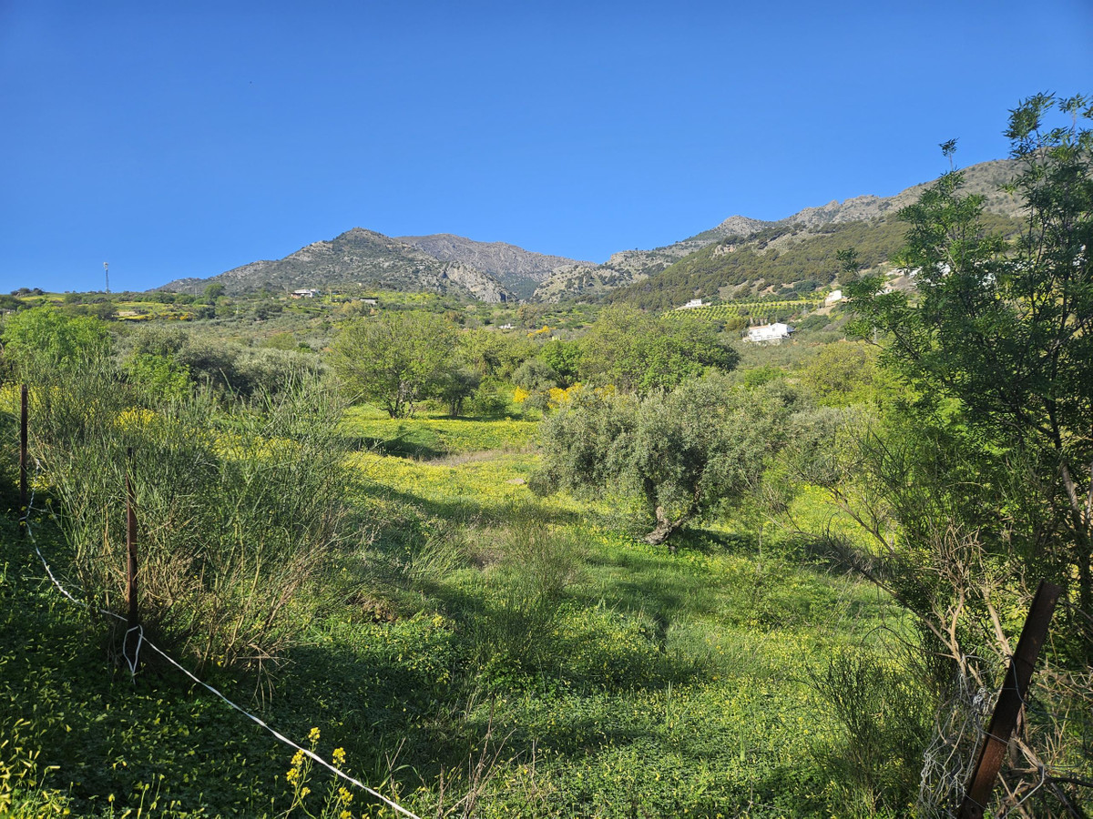 Property main view 5