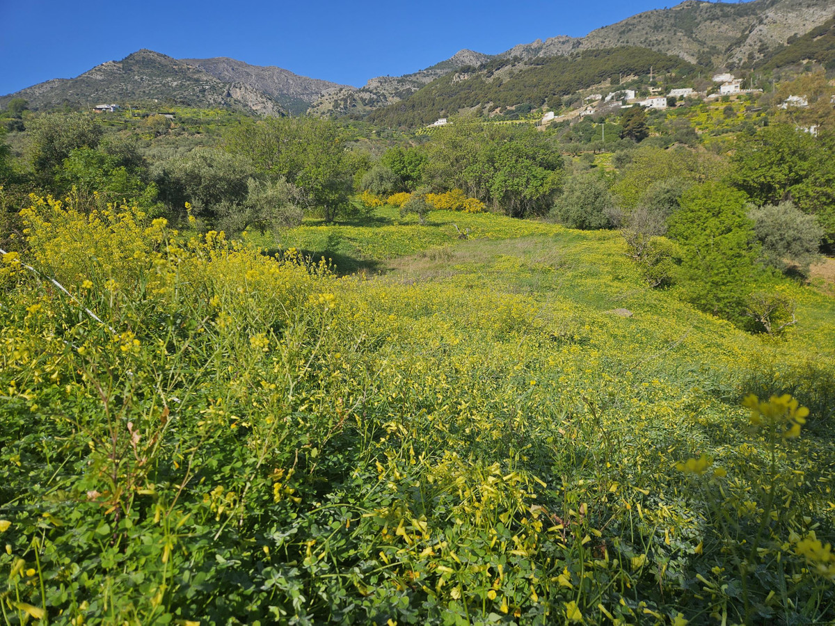 Property main view 6