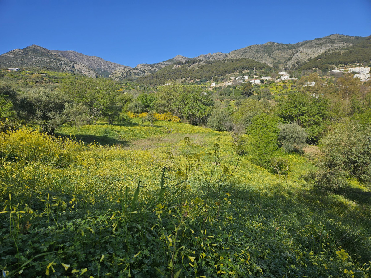 Property main view 7