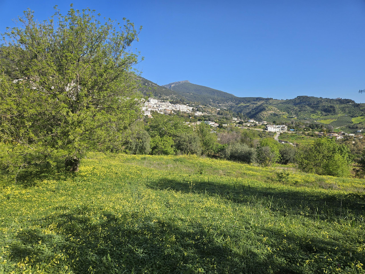 Property main view 8