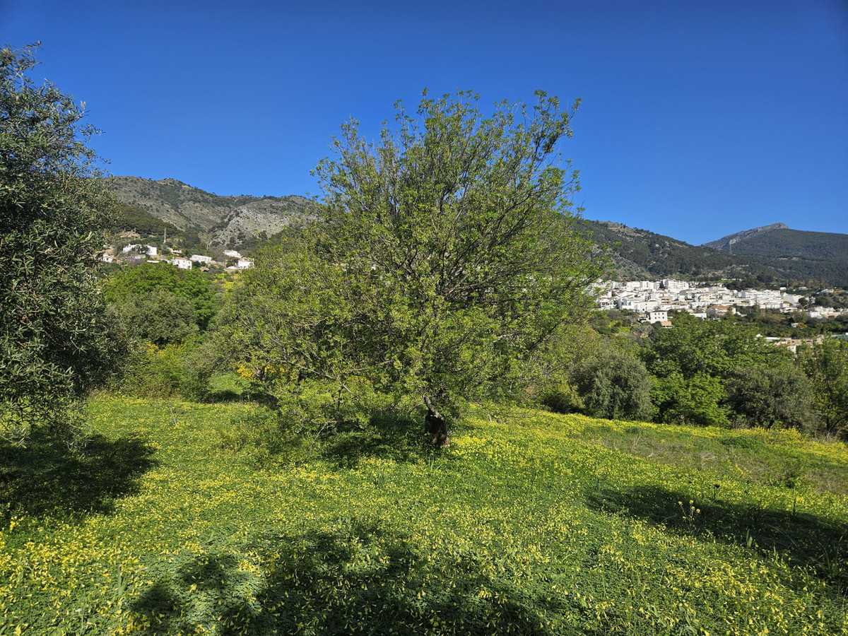 Property main view 9