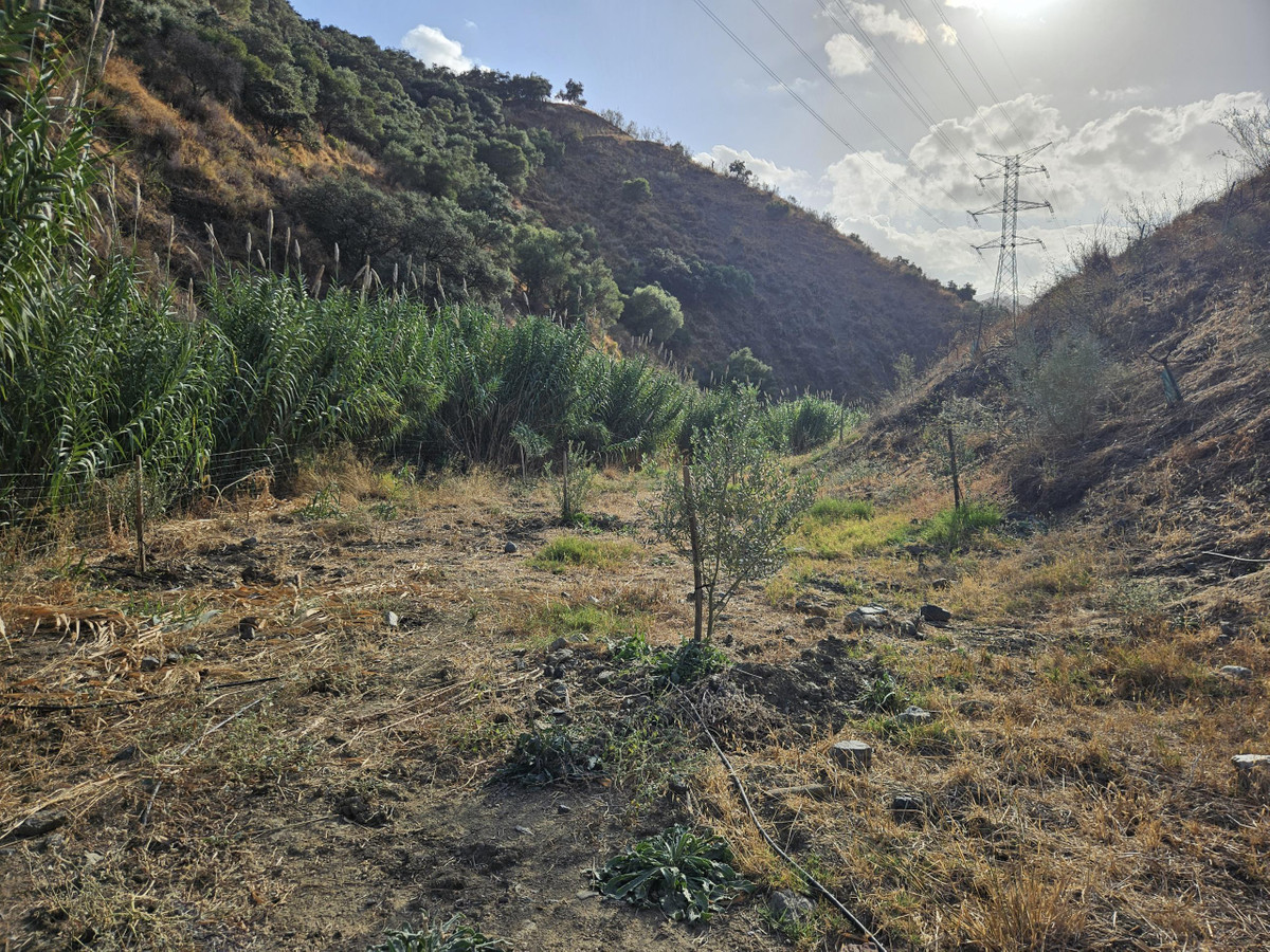 Property main view 11