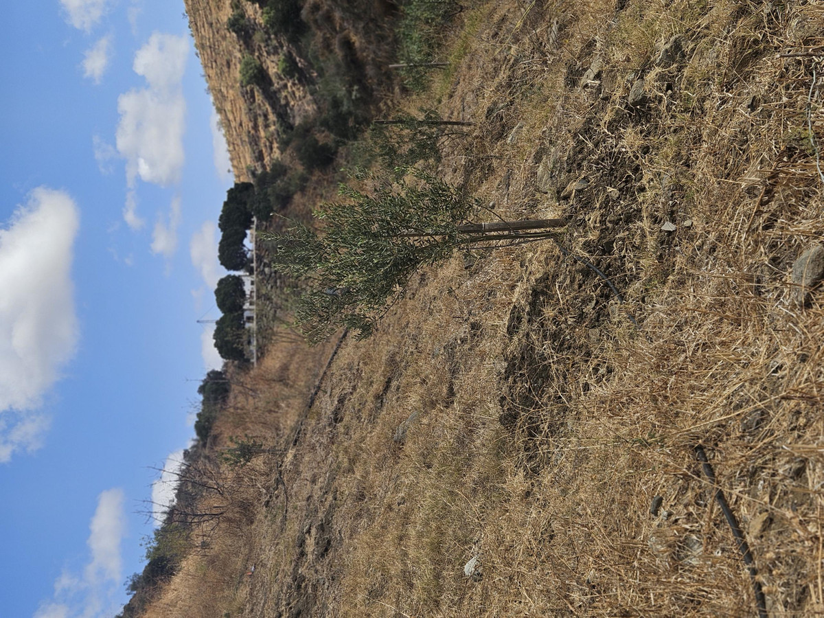 Property main view 6