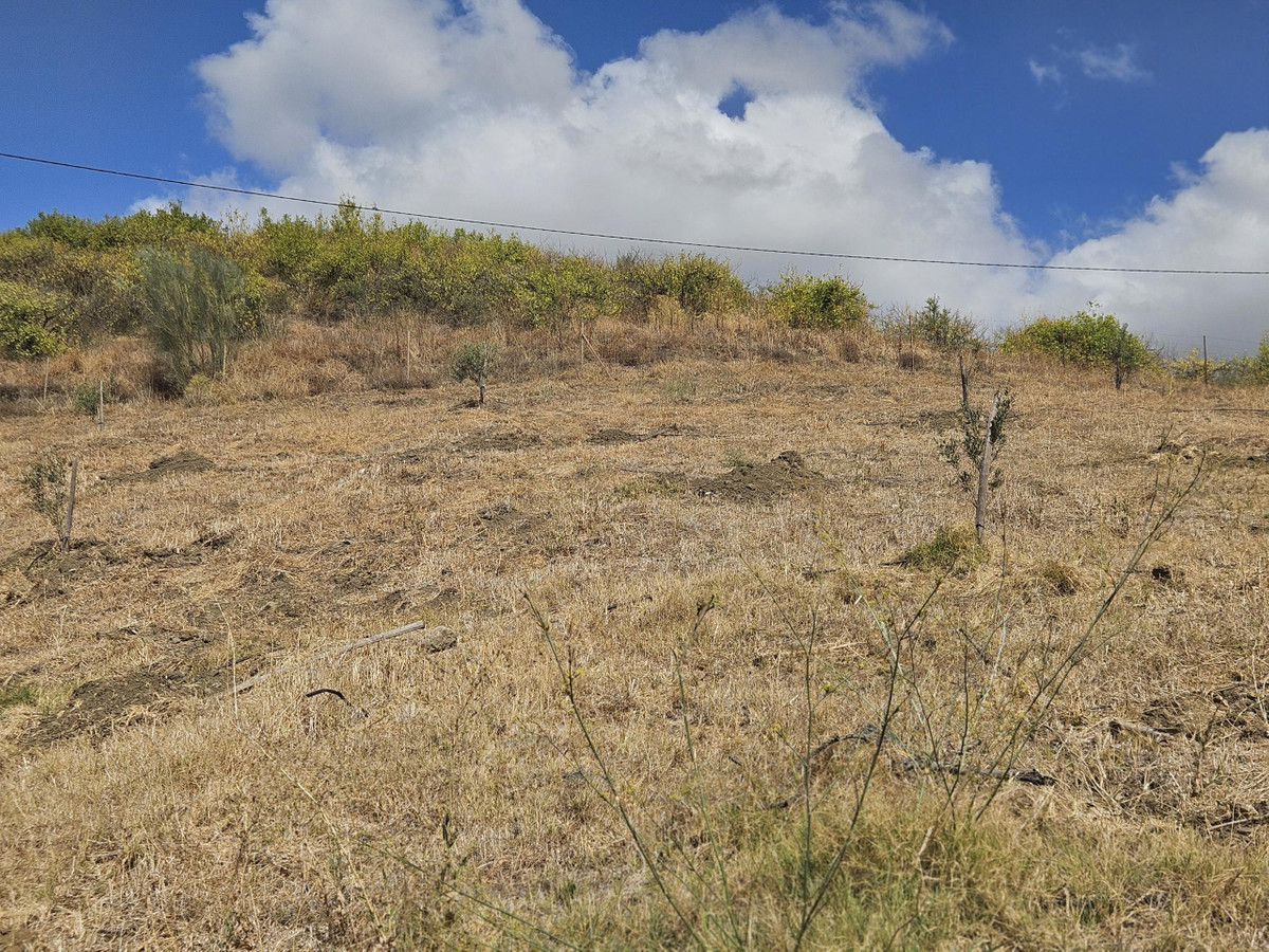 Property main view 7