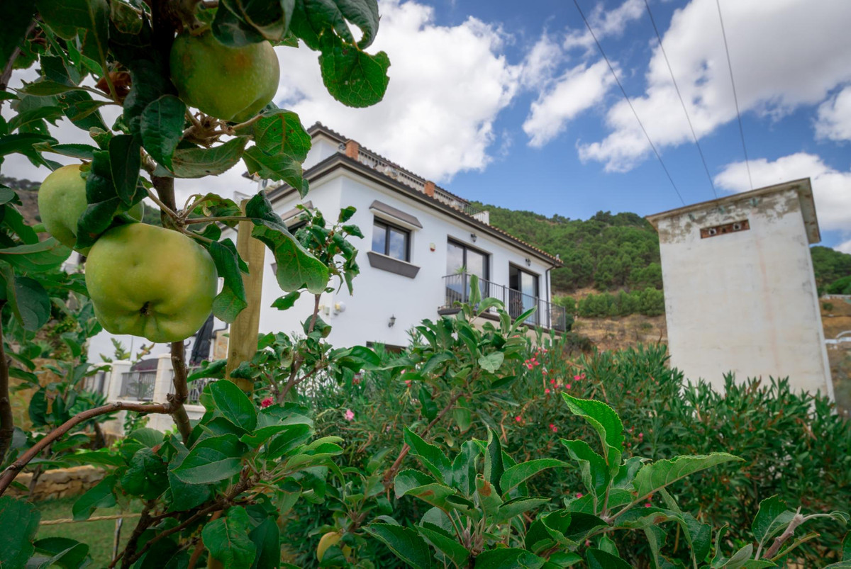 Property main view 39