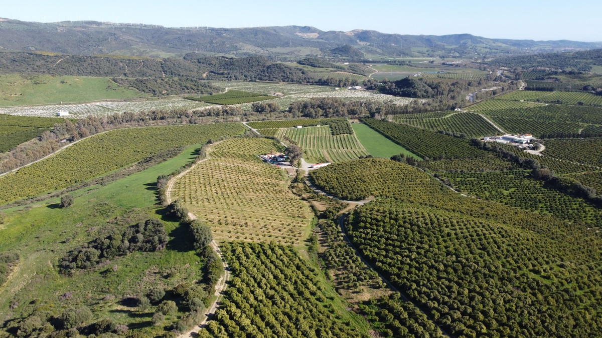 Property main view 10